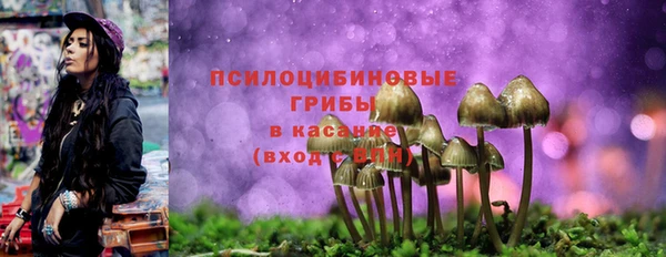 прущие крисы Алзамай